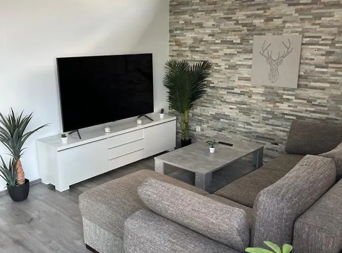 Messewohnung/ferienwohnung Kolín nad Rýnem